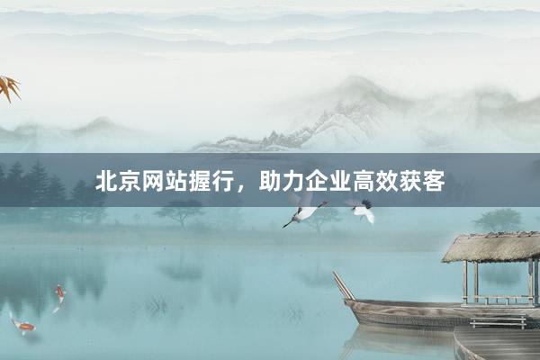 北京网站握行，助力企业高效获客