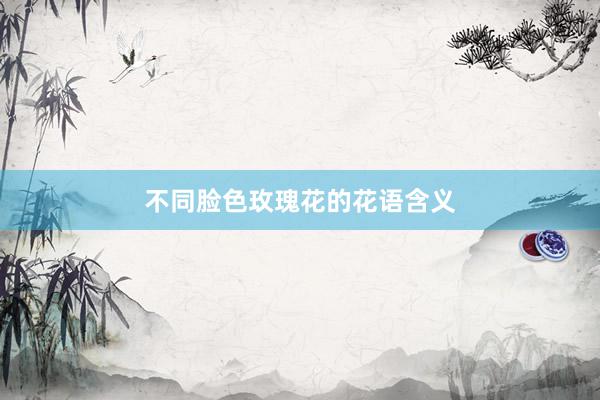 不同脸色玫瑰花的花语含义